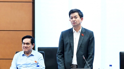 Nghiên cứu kỹ lưỡng để có đạo luật mạnh mẽ về chuyển đổi số