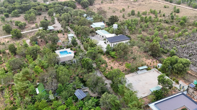 Invasión del Área Escénica de las Dunas Voladoras de Mui Ne: Desalojo forzoso de más de 66.000 metros cuadrados de terreno invadido.
