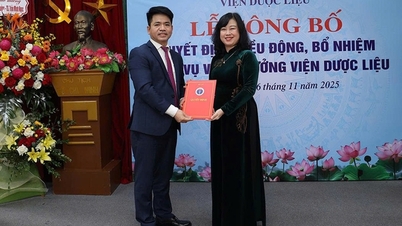 A Ministra Dao Hong Lan entregou a decisão de transferir e nomear o Diretor do Instituto de Materiais Medicinais.