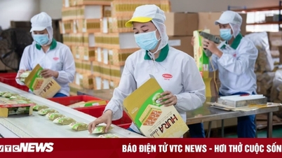 A empresa de confeitaria mais antiga do Vietnã está à venda, e suas ações estão prestes a sair da bolsa de valores.