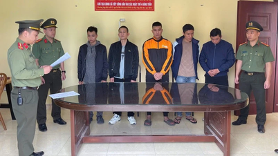 Fünf Personen aus dem Managementnetzwerk von fast 300 pornografischen Websites wurden strafrechtlich verfolgt.