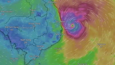 Breve informe sobre la respuesta a la tormenta número 13 Kalmaegi (a las 16:00 horas del 6 de noviembre de 2025)
