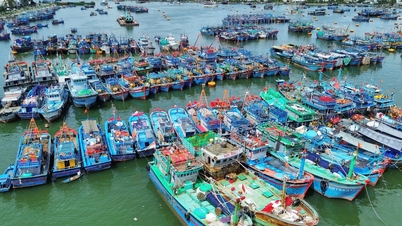 Το Νότιο Κεντρικό Βιετνάμ προετοιμάζεται για την καταιγίδα Καλμαέγκι