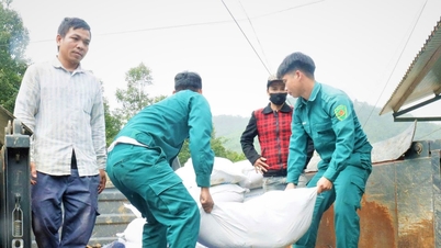 Da Nang'ın dağlık bölgeleri 13 numaralı fırtınaya müdahale etmek için harekete geçti