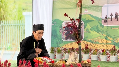 A kongi emberek örömükben nyüzsögnek a Celosia Fesztiválon