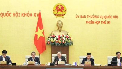 नेशनल असेंबली की स्थायी समिति ने जिया बिन्ह अंतर्राष्ट्रीय हवाई अड्डे के निर्माण के लिए निवेश नीति पर अपनी राय दी।