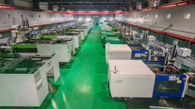 Ge-Shen (Vietnam) Co., Ltd: Důležitá součást vietnamsko-amerického ekosystému