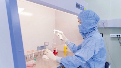 Új terápia növeli a rákos betegek esélyeit