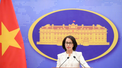 Vietnamul va implementa numeroase măsuri pentru a se asigura că pescarii respectă legea în domeniul pescuitului.