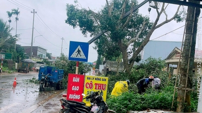 Krong Nang kommun: Fokus på att förebygga och bekämpa storm nr 13