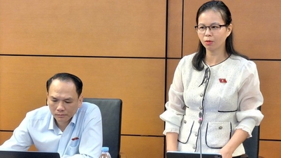 Dezavantajlı bölgelerdeki, dağlık bölgelerdeki ve etnik azınlıklardaki insanların dijital teknolojiye eşit erişiminin sağlanması