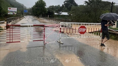 Beoordeel met spoed de technische status en kwaliteit van bruggen en rivierkruisingen.