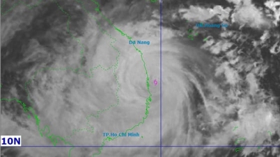 Badai mendekati pantai Gia Lai, intensitas berkurang ke level 13-14