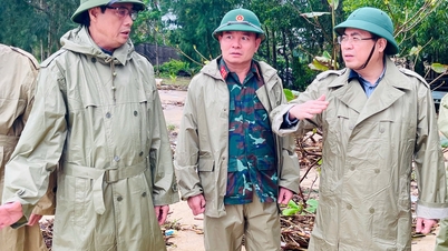 Przewodniczący Prowincjonalnego Komitetu Ludowego Nguyen Hoang Giang zapoznał się z realizacją planu ewakuacji ludności w związku z burzą nr 13 w gminie Long Phung.