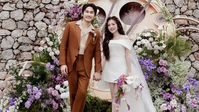 ดาราสาว หง็อก เหวียน สวยราวกับเจ้าหญิงในงานแต่งงานของเธอกับ ดินห์ ตู