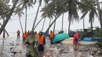 Telegram van de voorzitter van het Provinciaal Volkscomité waarin hij de noodmaatregelen treft om te reageren op storm nr. 13 en overstromingen