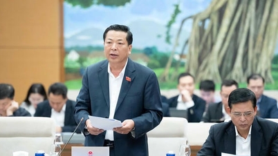 Bersetuju untuk menyerahkan projek pelaburan Lapangan Terbang Antarabangsa Gia Binh kepada Dewan Negara