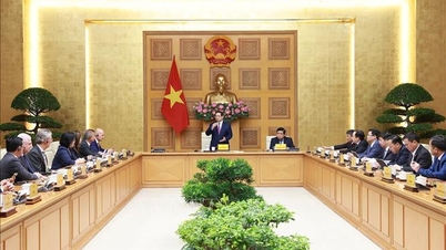 O primeiro-ministro Pham Minh Chinh recebeu uma delegação de líderes empresariais internacionais do setor de semicondutores.