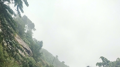 Otevření úseku státní dálnice 40B hraničící s Quang Ngai