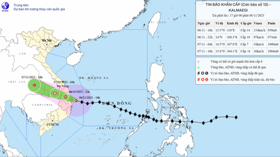 בליל ה-6 בנובמבר, סופה מספר 13 פגעה ביבשה מקוואנג נגאי עד דאק לאק ונחלשה בהדרגה.
