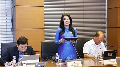 É preciso unificar o âmbito jurídico da transformação digital.