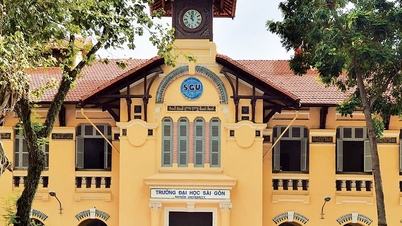 সাইগন ইউনিভার্সিটি অফ পেডাগগির শিক্ষার্থীদের জীবনযাত্রার খরচ সহায়তা: অর্থ বিভাগ বলেছে যে তারা যথেষ্ট ব্যবস্থা করেছে