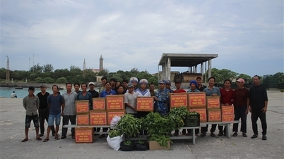 Truong Sa Özel Bölgesi, Kalmaegi tayfunu geçerken güvenliği sağlıyor