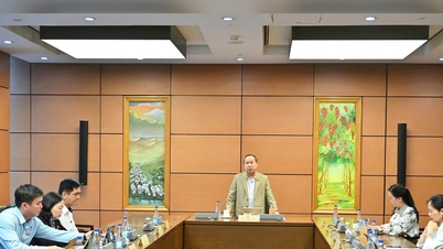 उच्च तकनीक प्रोत्साहन नीतियां स्पष्ट और उत्कृष्ट होनी चाहिए।