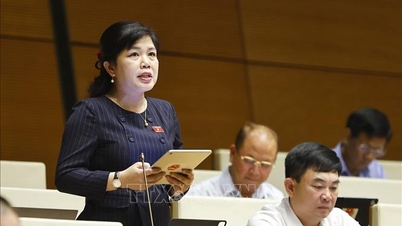 É necessário adicionar um mecanismo de pós-controle às atividades de transferência de tecnologia.