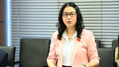 Criar um corredor legal claro para facilitar o fluxo de conhecimento e tecnologia.