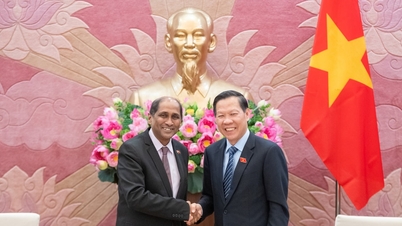 आर्थिक एवं वित्तीय समिति के अध्यक्ष फान वान माई ने वियतनाम में सिंगापुर के राजदूत का स्वागत किया