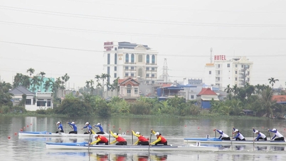 ২০২৫ সালের জাতীয় নৌকা দৌড় চ্যাম্পিয়নশিপে আয়োজক হাই ফং ডাবল চ্যাম্পিয়নশিপ জিতেছেন।