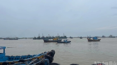 Lam Dong: Meer dan 4.300 vissersboten zijn het water in gegaan om de storm te ontwijken...