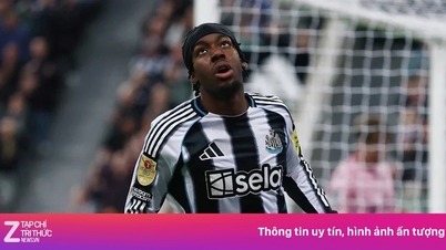 Newcastle contrata jogador "fracasso" por 55 milhões de libras
