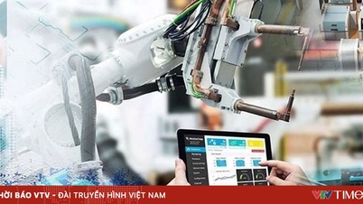 Accelerate Project 06, using VNeID as the only account in online public services