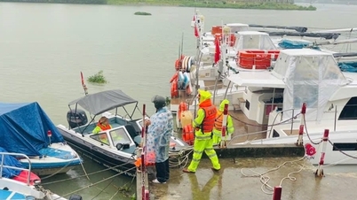 Da Nang evakuerade fler än 1 180 hushåll för att förebygga och undvika storm nr 13