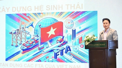 ប្រព័ន្ធអេកូឡូស៊ី FTA៖ ជាបន្ទះចាប់ផ្តើមដើម្បីជួយកសិករ និងអាជីវកម្មទទួលបានដើមទុន និងឈានដល់ទីផ្សារពិភពលោក