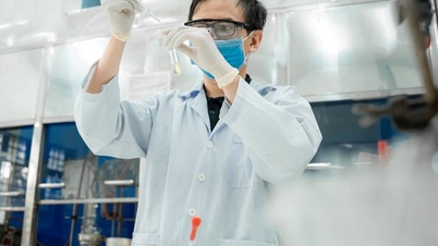 Έκδοση του νέου Πίνακα Ταξινόμησης Επιστημονικών και Τεχνολογικών Τομέων