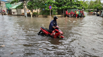 호치민시: 13호 폭풍과 만조에 대응