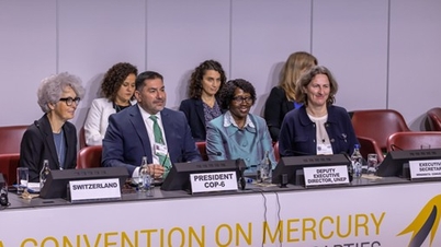 Vietnamská delegace se účastní šesté konference smluvních stran Minamatské úmluvy o rtuti (COP-6)