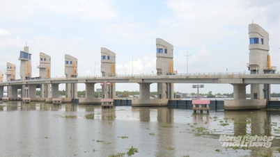 การดำเนินงานกลุ่มประตูระบายน้ำ Cai Lon - Cai Be เพื่อรับมือกับพายุ Kalmaegi