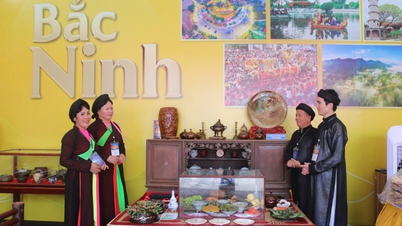 Bac Ninh: Cadangan untuk menganjurkan 3 lawatan percuma pada tahun 2026