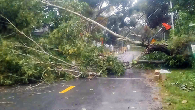 প্রাদেশিক সড়ক ৯ সাময়িকভাবে বন্ধ করে দেওয়া হচ্ছে, ঝুঁকিপূর্ণ এলাকার ৬০০ জনেরও বেশি পরিবারকে নিরাপদ স্থানে সরিয়ে নেওয়া হচ্ছে