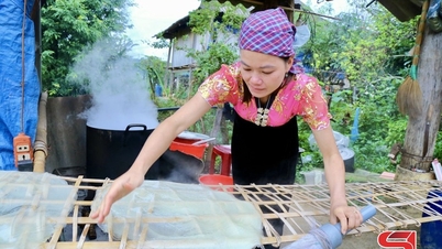 Specialitatea tăițeilor de celofan Quynh Phieng