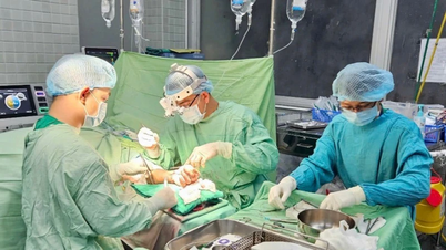 ເປີດໃຊ້ການແຈ້ງເຕືອນສີແດງເພື່ອເຊື່ອມຕໍ່ມືທີ່ຖືກຕັດຄືນໃໝ່ສຳລັບຄົນເຈັບ