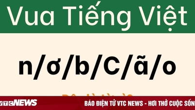 Câu đố khiến 'cao thủ tiếng Việt' cũng phải chào thua