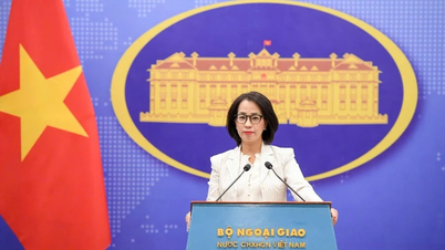 Vietnam koordinerer proaktivt internasjonalt for å forhindre nettkriminalitet og beskytte innbyggerne