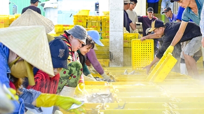 Binnen de vissershaven van Tac Cau