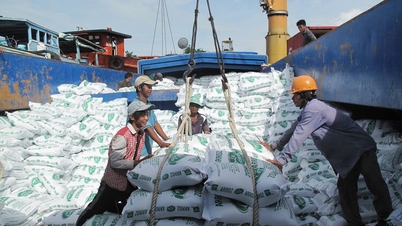 Het probleem van het verhogen van de waarde van Vietnamese rijst