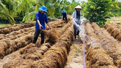 ĐBSCL trên hành trình xây dựng nền nông nghiệp hữu cơ, tuần hoàn